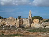 Previous